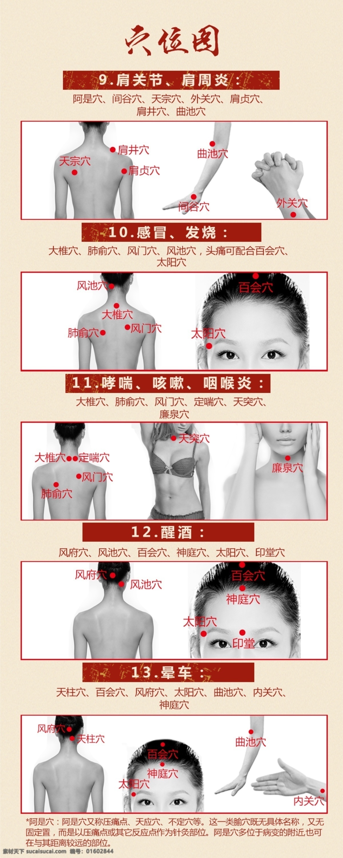穴位图 天宗穴 肩井穴 穴位 穴道 穴 分层