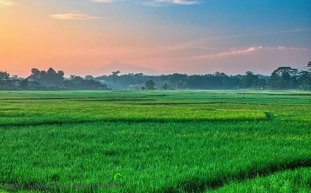 田野 背景 自然 插图 艺术 壁纸 绘图 美丽 阳光 夕阳 天空 自然景观 自然风景