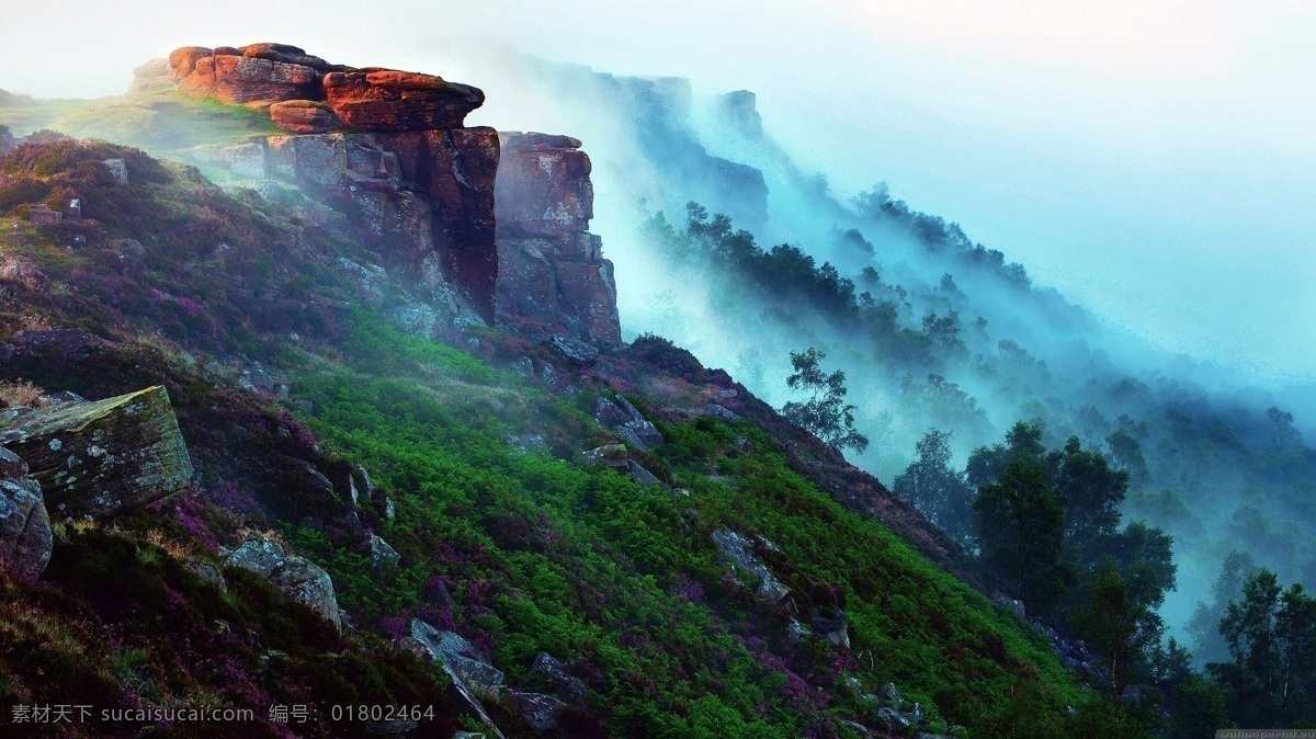 山坡 云雾 飘渺 风景 效果 大图 山 植物 半山坡 石头岩石 青苔 苔藓 背景图片