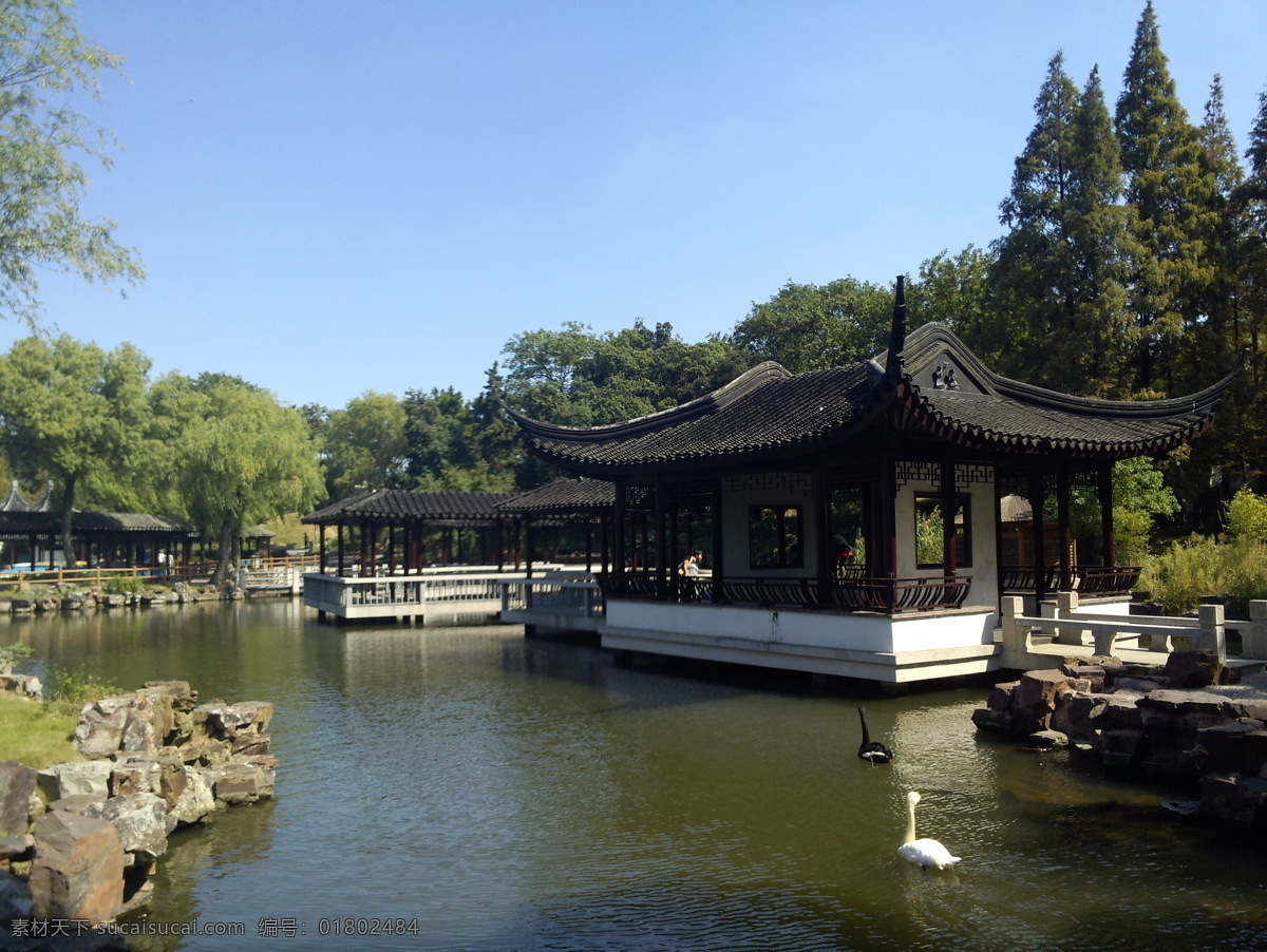 垂柳 春色 春天 动物园 鹅 风景 湖 湖水 苏州园林 旅游 美景 苏州 江南 园林 远景 周末 散步 东园 蓝天 绿色 石头 岸 柳树 水面 平静 亭子 亭阁 楼阁 木桥 走廊 天鹅 松树 精品摄影 自然风景 旅游摄影 psd源文件