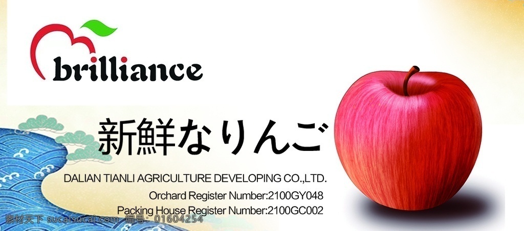 日风苹果 日本 日本风格 日风 苹果 日本水果