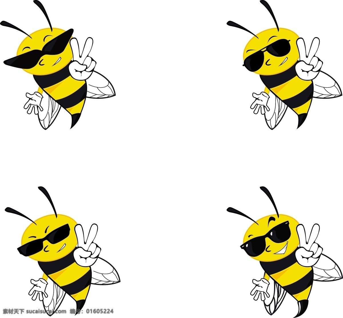 蜜蜂带着墨镜 花卉 动物 蜜蜂 蜂蜜 太阳眼镜 和平 有趣 酷 昆虫 白色