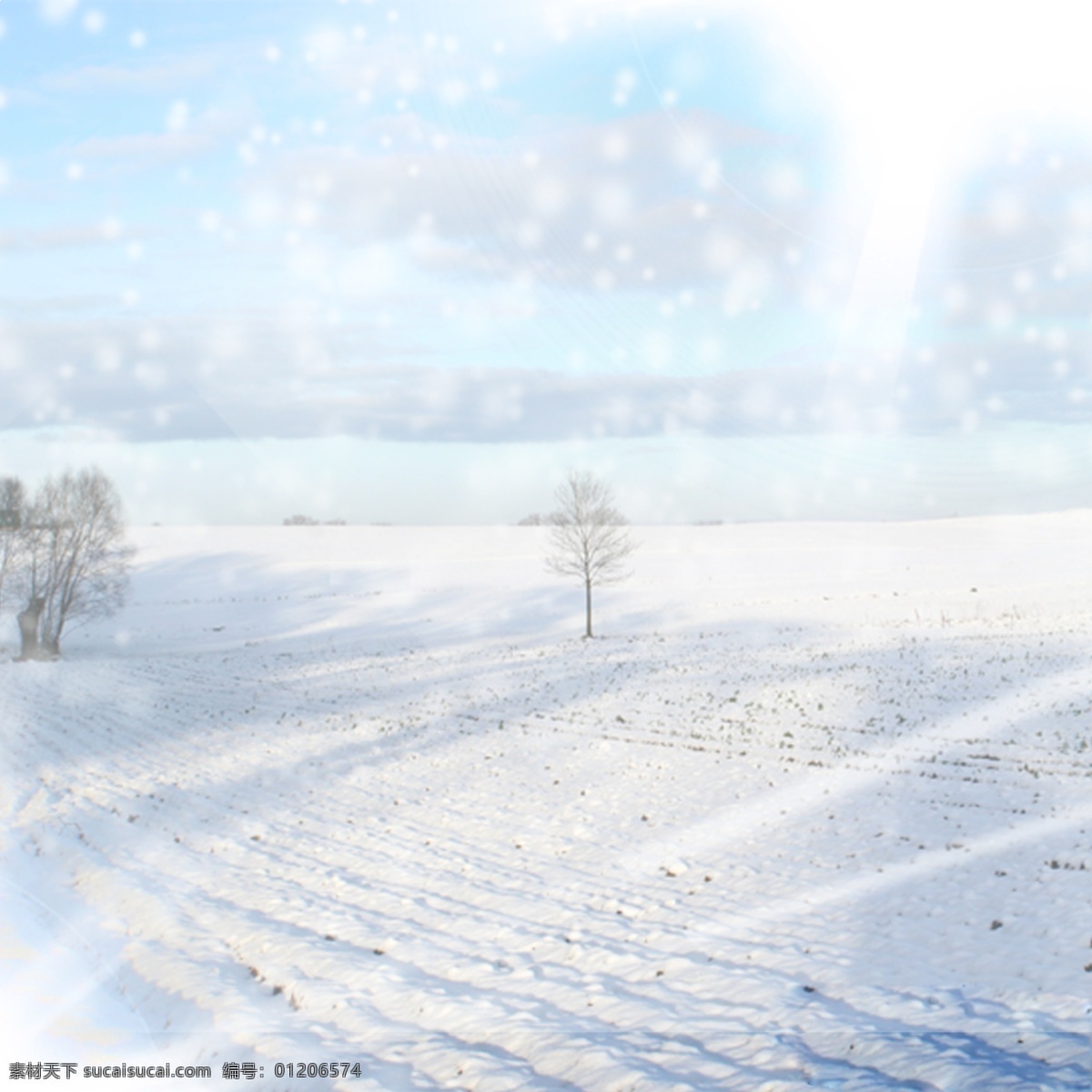 雪景背景 雪景 树 浪漫 白色