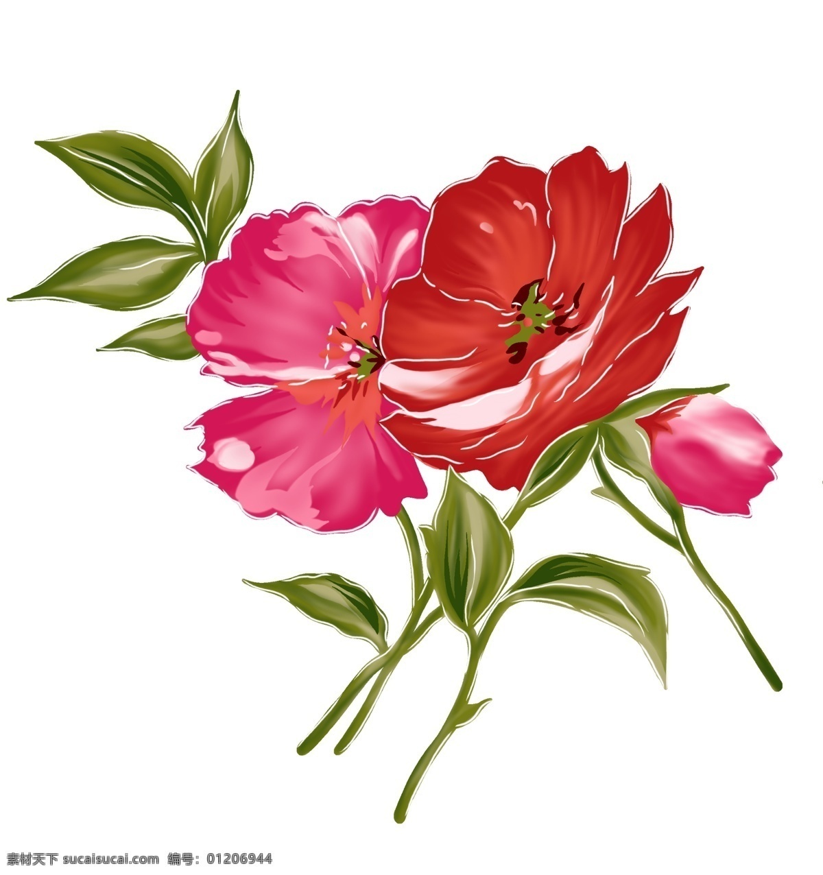 彩绘花草 韩式花纹 psd0724 设计素材 花草主题 装饰图案 psd源文件 白色