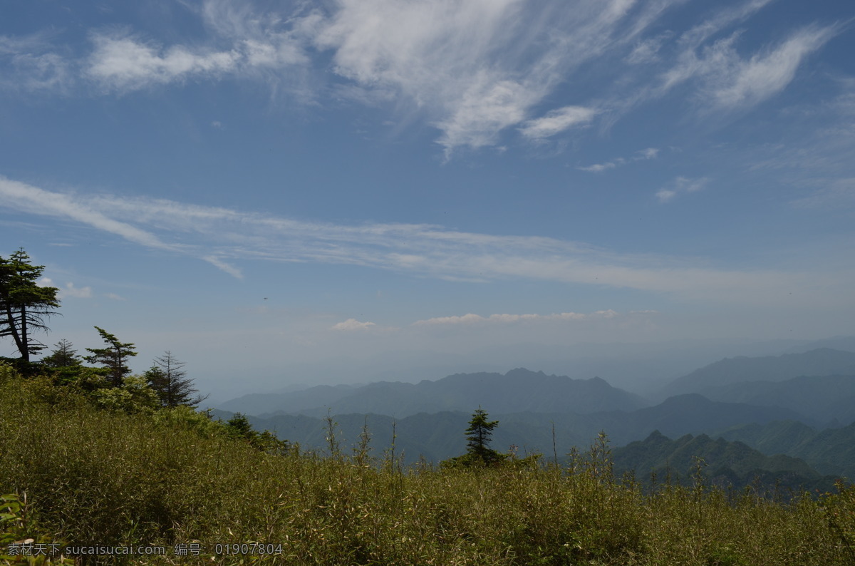 白云 大山 大树 高山 蓝天 绿叶 清新 沣峪分水岭 秦岭 野外 树枝 阳光 天空 远山 植被 云团 云 草甸 小竹 竹海 秦岭山水 自然风景 自然景观 矢量图 日常生活