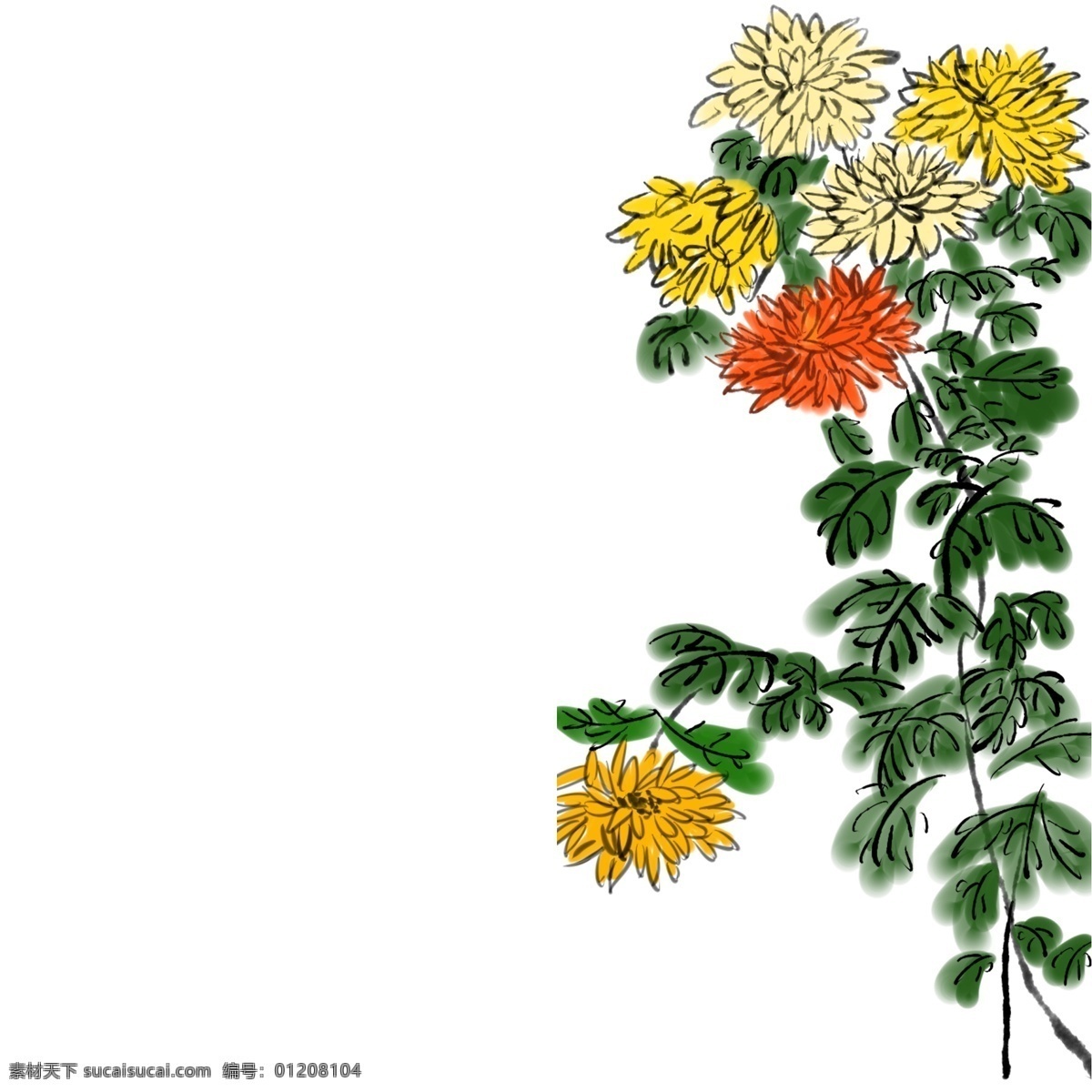 中国 风 秋天 菊花 免 抠 图 中国风 花朵 五颜六色 免抠图 花 五颜六色的花