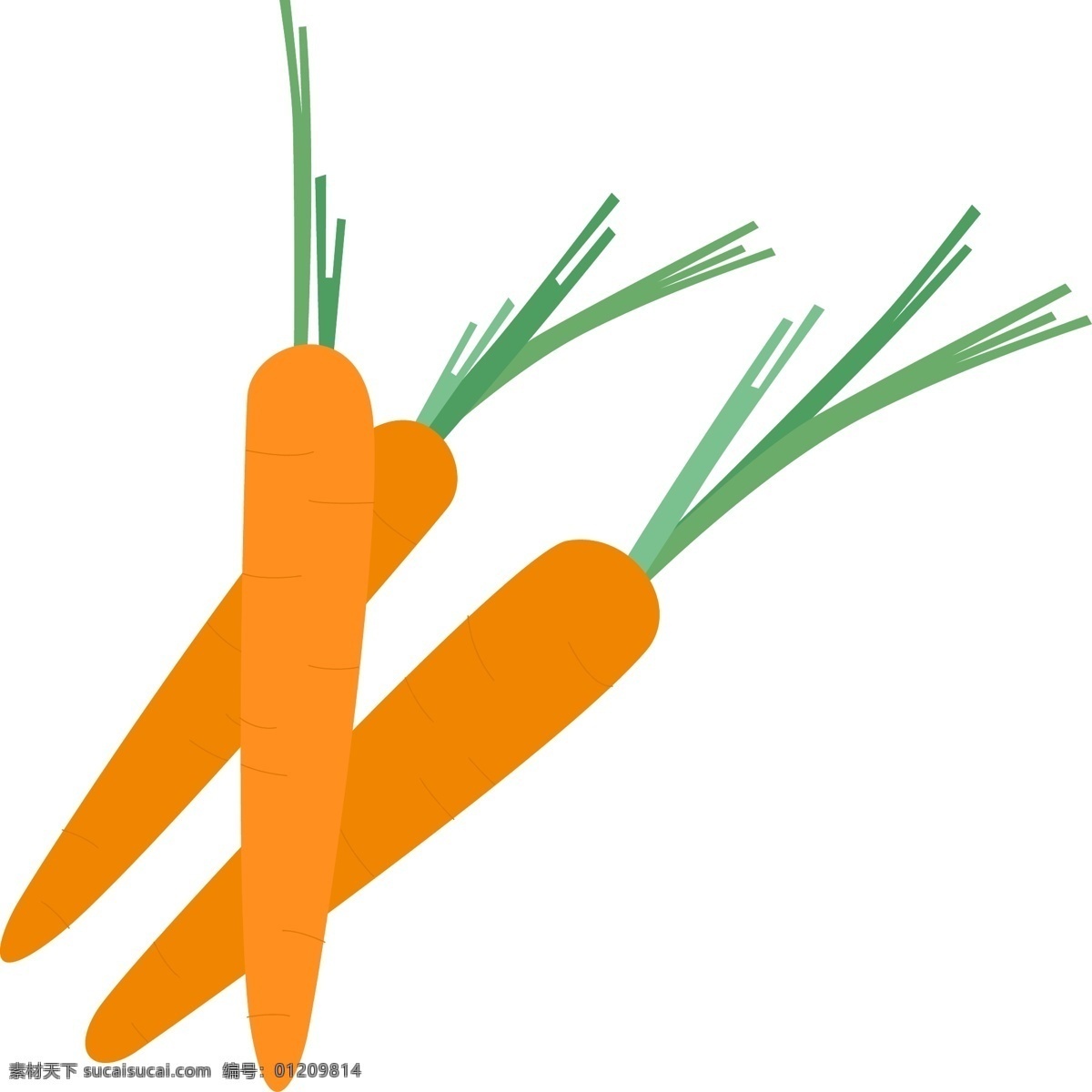 处暑 夏季 蔬果 蔬菜 胡萝卜 图标 野菜 美味的蔬菜 卡通图标 矢量图 免扣装饰 手绘图标 图形