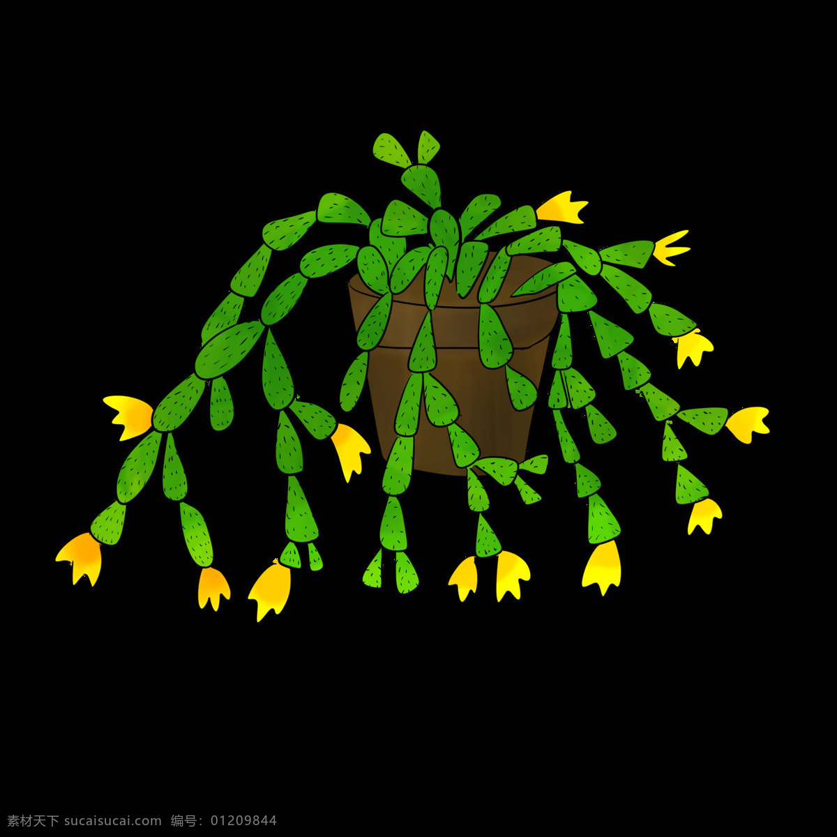手绘 盆栽 蟹爪 兰 插画 黄色的花朵 漂亮的盆栽 美丽的盆栽 卡通插画 手绘盆栽插画 黑色的花盆