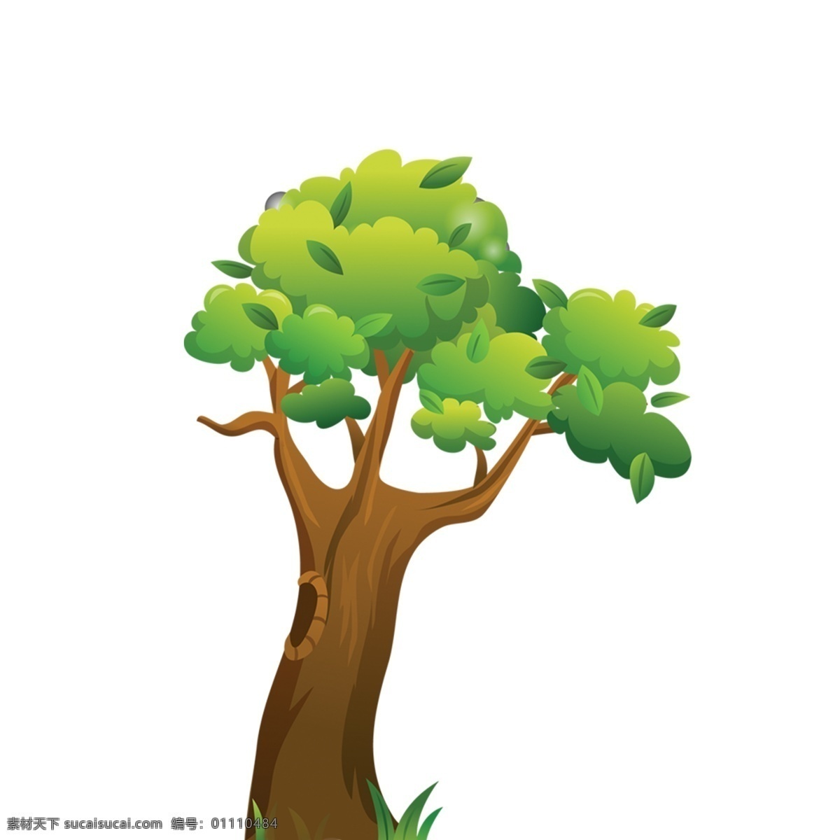 颗 绿色 植物 小树