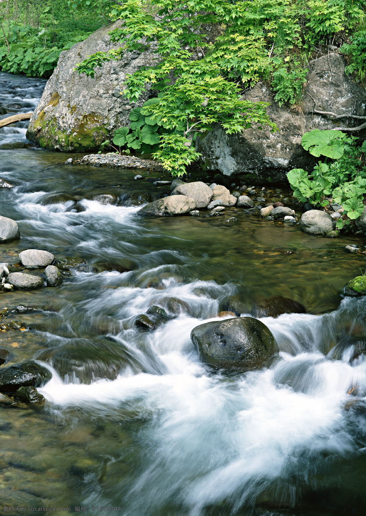 湍急的流水 自然 风景 水花 水雾 溅出 湍急 急流 河流 岩石 自然风景 自然景观 黑色