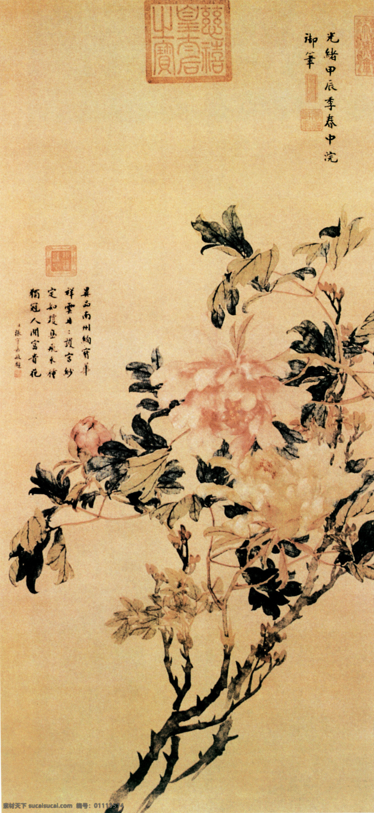 牡丹花 白鹤 丹顶鹤 柳絮 梅花 飘絮 树干 树枝 杂草 植物 竹子 中国风 中华艺术绘画 文化艺术
