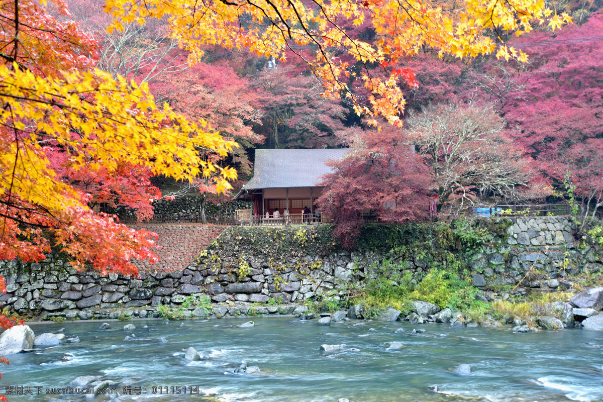 日本风情 红叶 庙宇 溪流 美景 旅游 旅游摄影