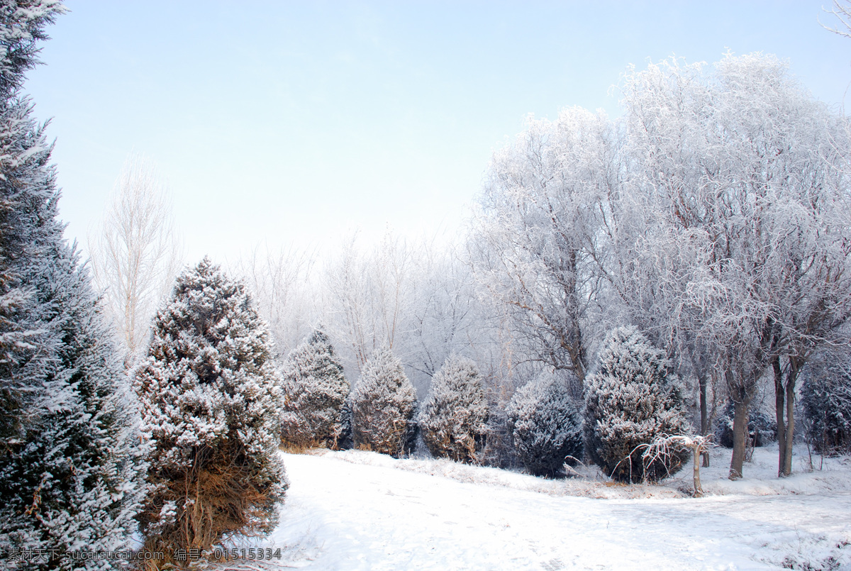 童话世界 北方 冬季 雪 银色 世界 童话 雪景 自然景观 自然风景 摄影图库