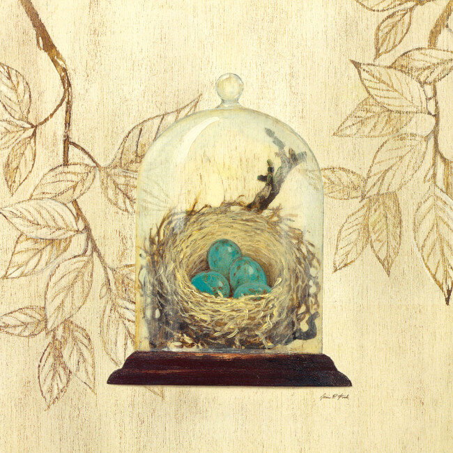 鸟蛋装饰画 鸟蛋 鸟窝 水彩画 书本 静物写生 无框画 装饰画 画芯 挂画 书画文字 文化艺术