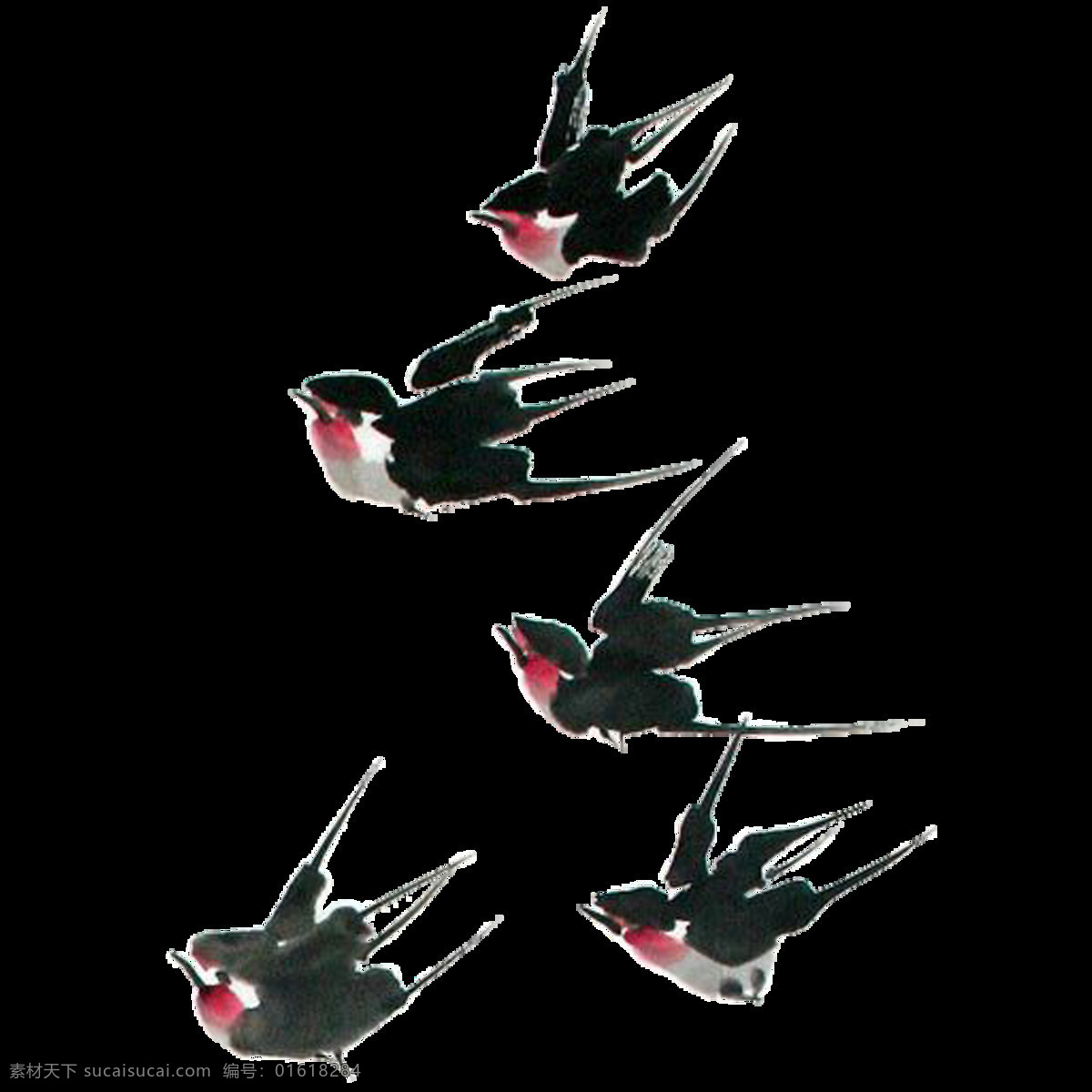 唯美 黑色 燕子 绘画 美观 飞动的燕子 生动 活泼 形象