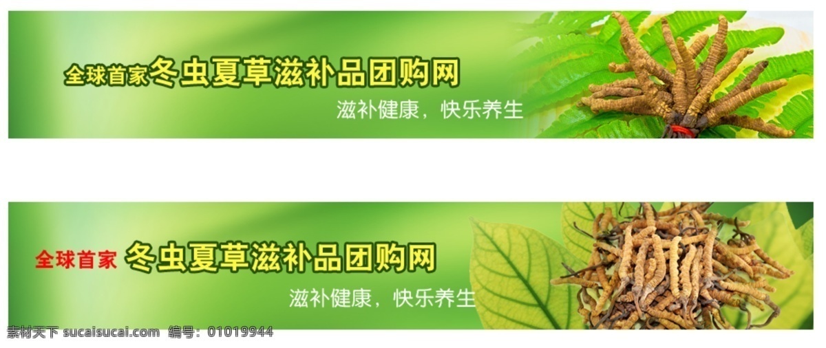 虫草 店招 绿色 其他模板 网店 网店店招 网页 banner 网页模板 店 招 模板下载 绿色网店店招 中药 源文件 淘宝素材 其他淘宝素材