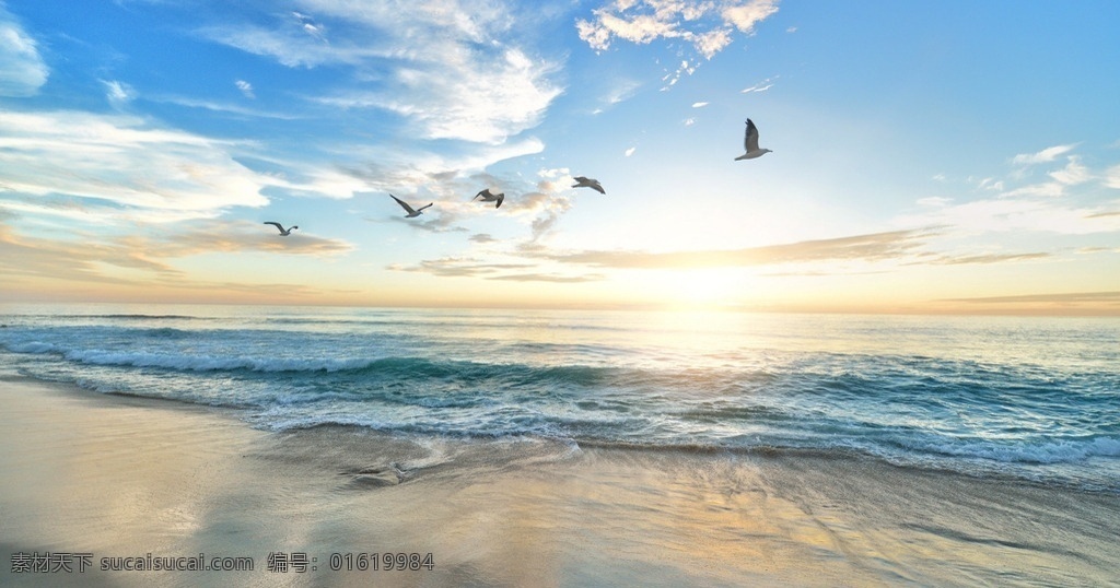 海景 海鸟 海 海边 阳光 蓝天 大气 恢弘 休闲 度假 自然景观 自然风景