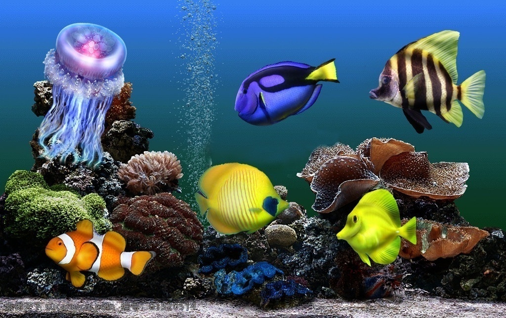 观赏鱼 水母 分层 动物 水中生物 海洋生物 热带鱼 珊瑚 动物素材 设计元素 动物图片 源文件