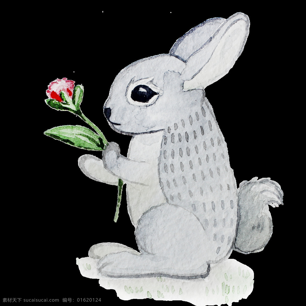 卡通手绘兔子 卡通 手绘 兔子 高清 唯美