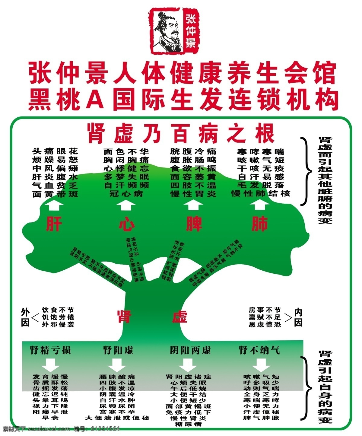 广告设计模板 结构图 源文件 张仲景 人体 健康 养生 模板下载 黑桃 a 国际 生发 连锁机构 病变图 其他海报设计