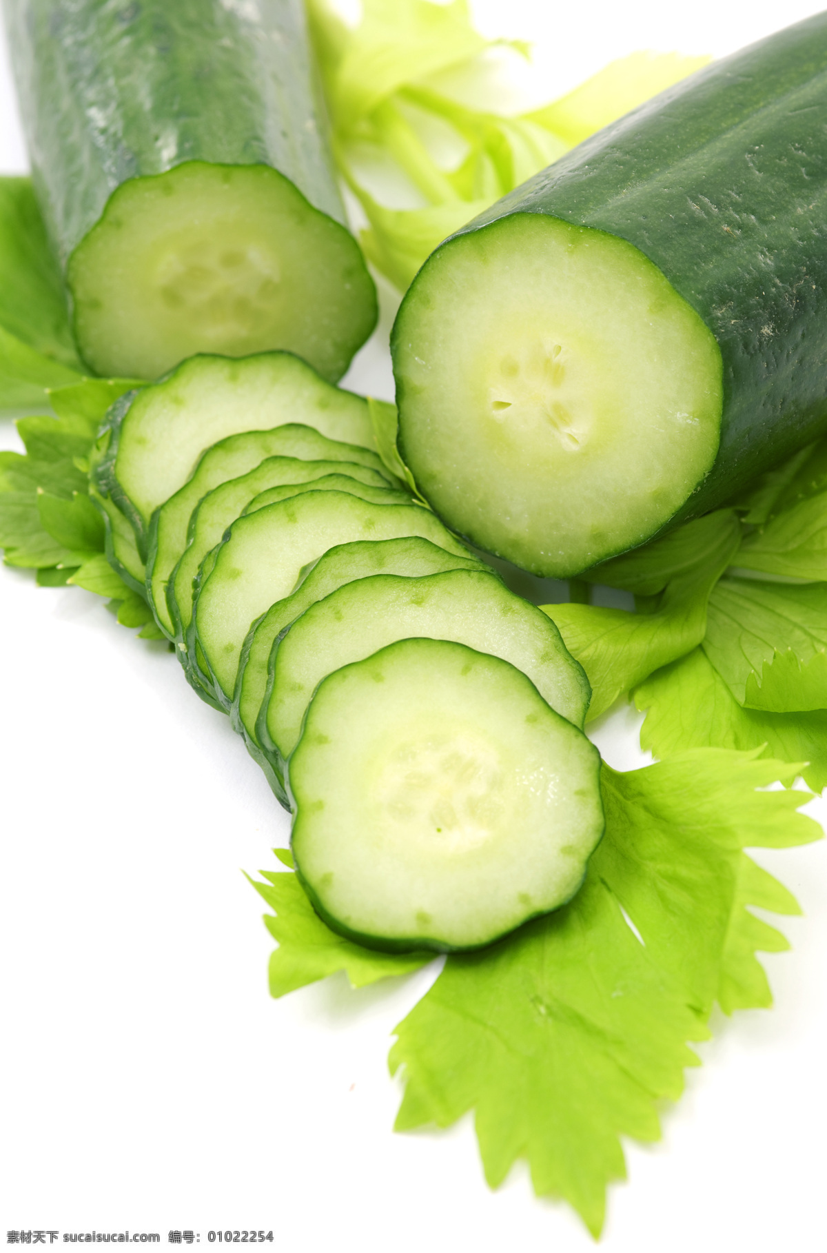 黄瓜片 新鲜黄瓜 黄瓜 黄瓜切片 切片 绿叶 蔬菜 果蔬 瓜果蔬菜 新鲜 绿色 餐饮 切菜 做菜 切黄瓜 厨房 水果蔬菜 生物世界