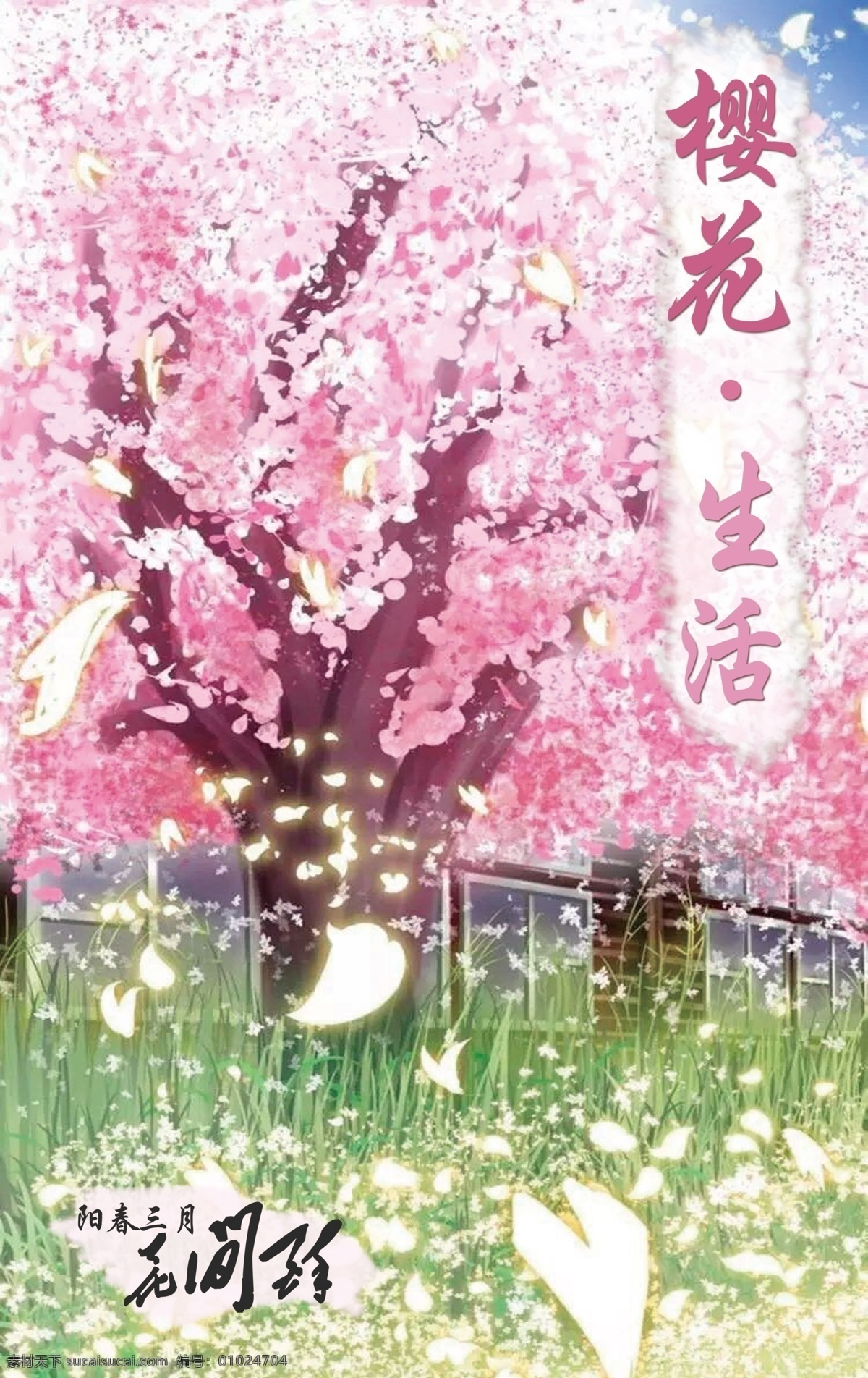樱花节 阳春 三月 赏花 季 樱花海报 樱花背景 醉美樱花