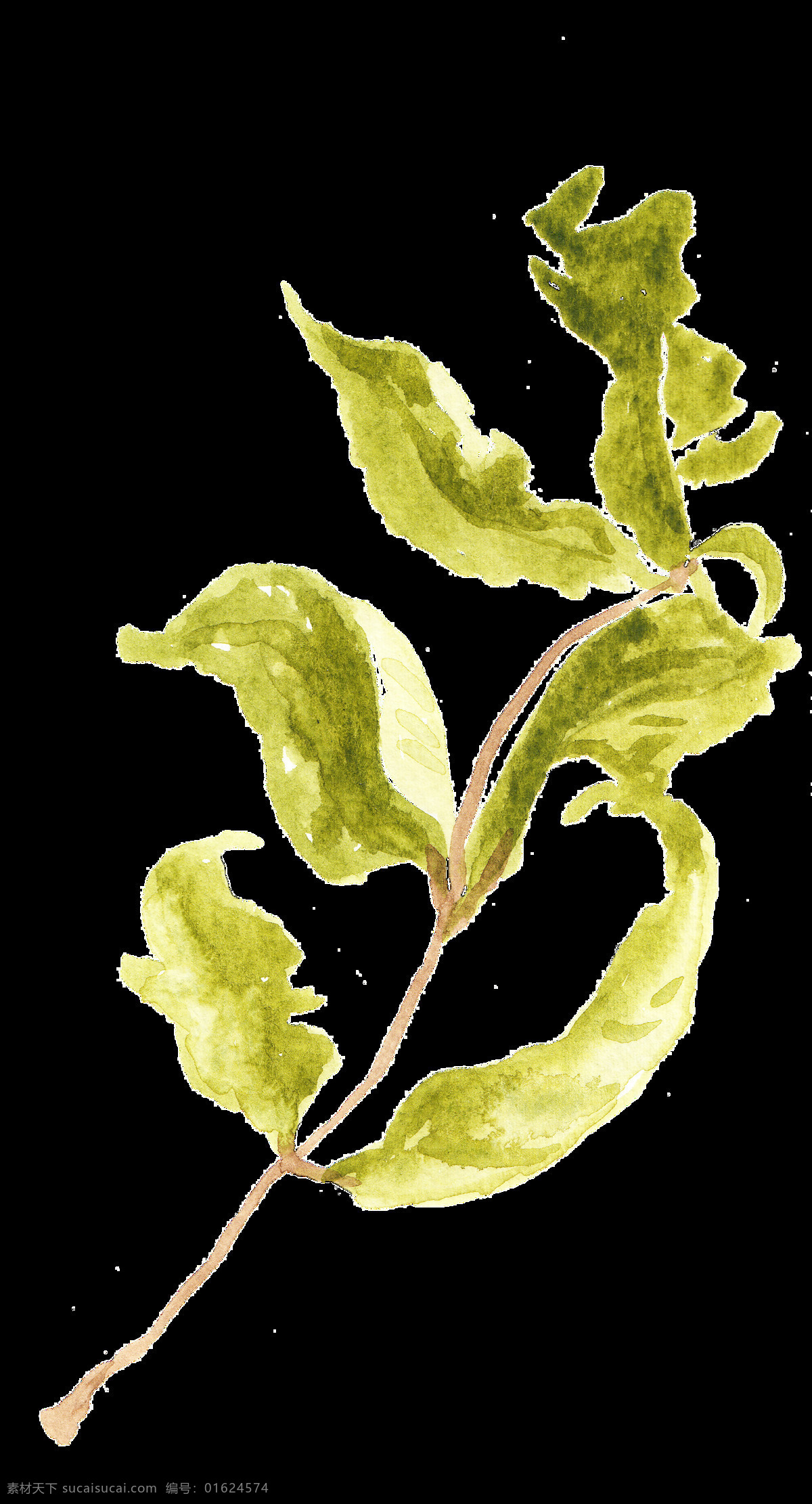 衰败 枯黄 树叶 透明 装饰 海报设计装饰 卡通 免扣 设计素材 水彩 淘宝素材 透明素材 装饰图案