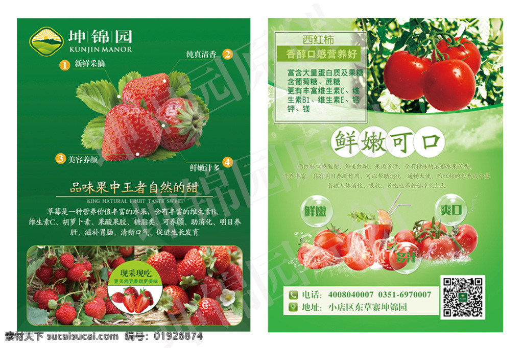 坤 锦 园 绿 包 草莓 西红柿 宣传单 草莓单页 页 绿色dm单 绿色环保 健康 有机 蔬菜 绿色有机食品 白色