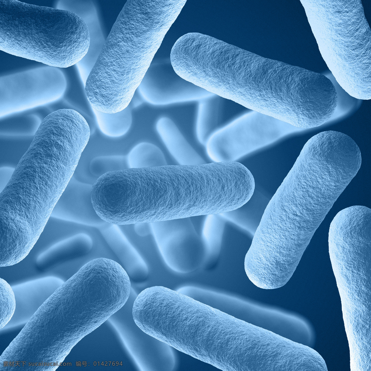 病毒 细菌 显微 微观世界 细胞 真菌 生物学 生化 微生物 科学研究 现代科技