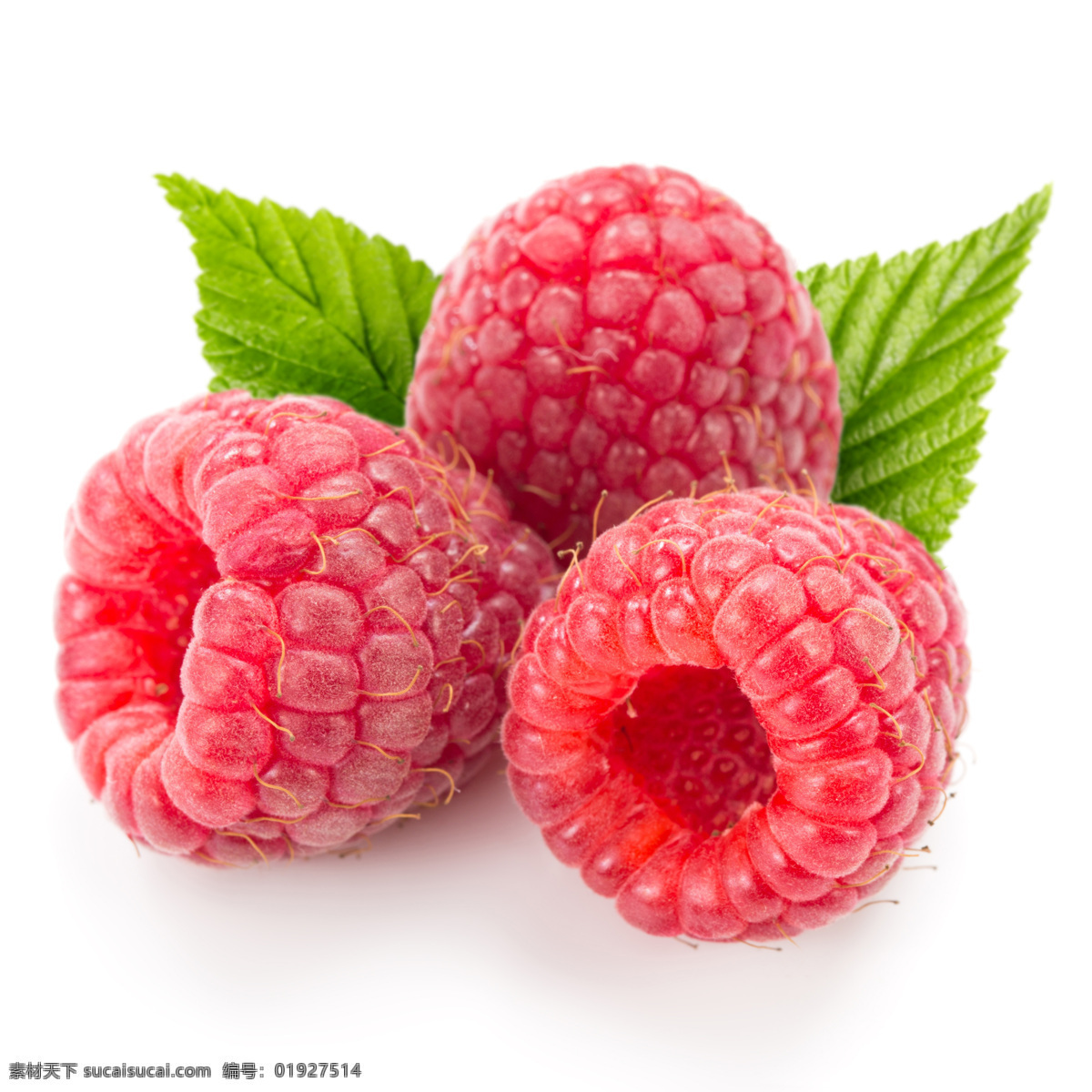 新鲜覆盆子 树莓 覆盆子 新鲜水果 水果摄影 果实 水果蔬菜 餐饮美食 白色