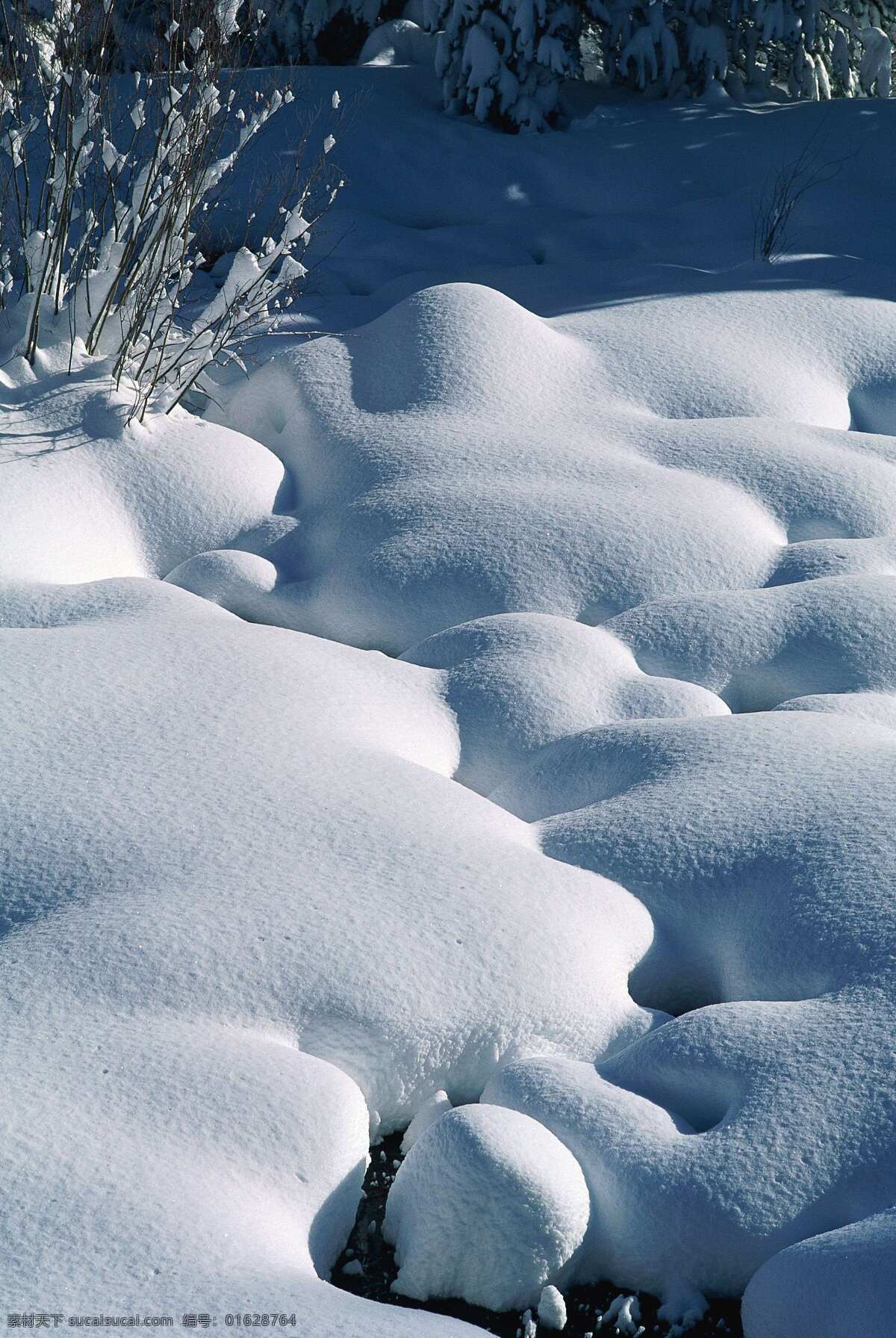 冬日 雪景 雪景图片 雪景图片下载 雪景照片素材 风景 生活 旅游餐饮