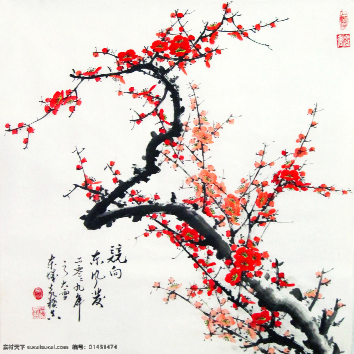 竞向东风发 美术 绘画 中国画 彩墨画 水墨画 梅花画 梅花 红梅 怒放 国花 知春 书法 印章 国画艺术 梅花国画专辑 绘画书法 文化艺术