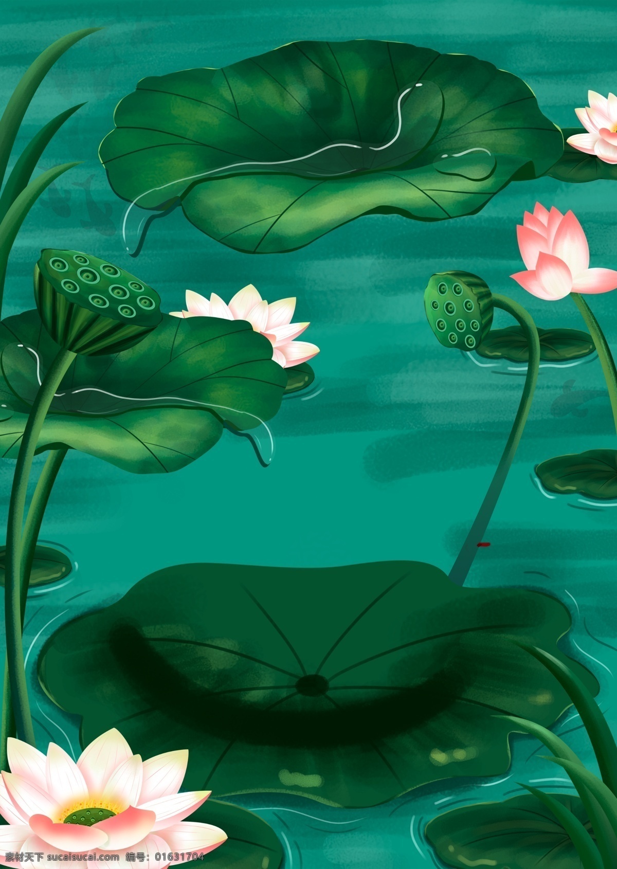 夏至 节气 荷塘 背景 绿色背景 荷花 夏天 花朵 莲蓬 绿叶背景 背景设计 背景展板 特邀背景