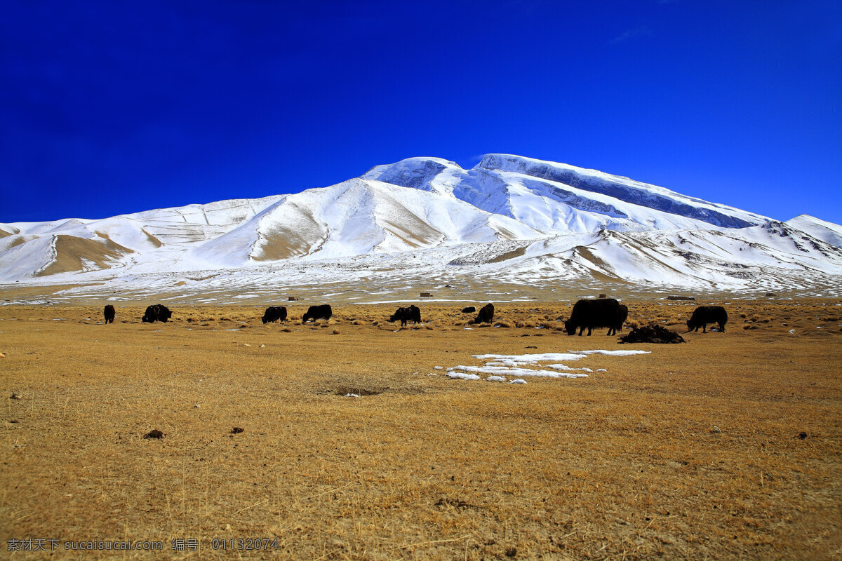 帕米尔高原 风景