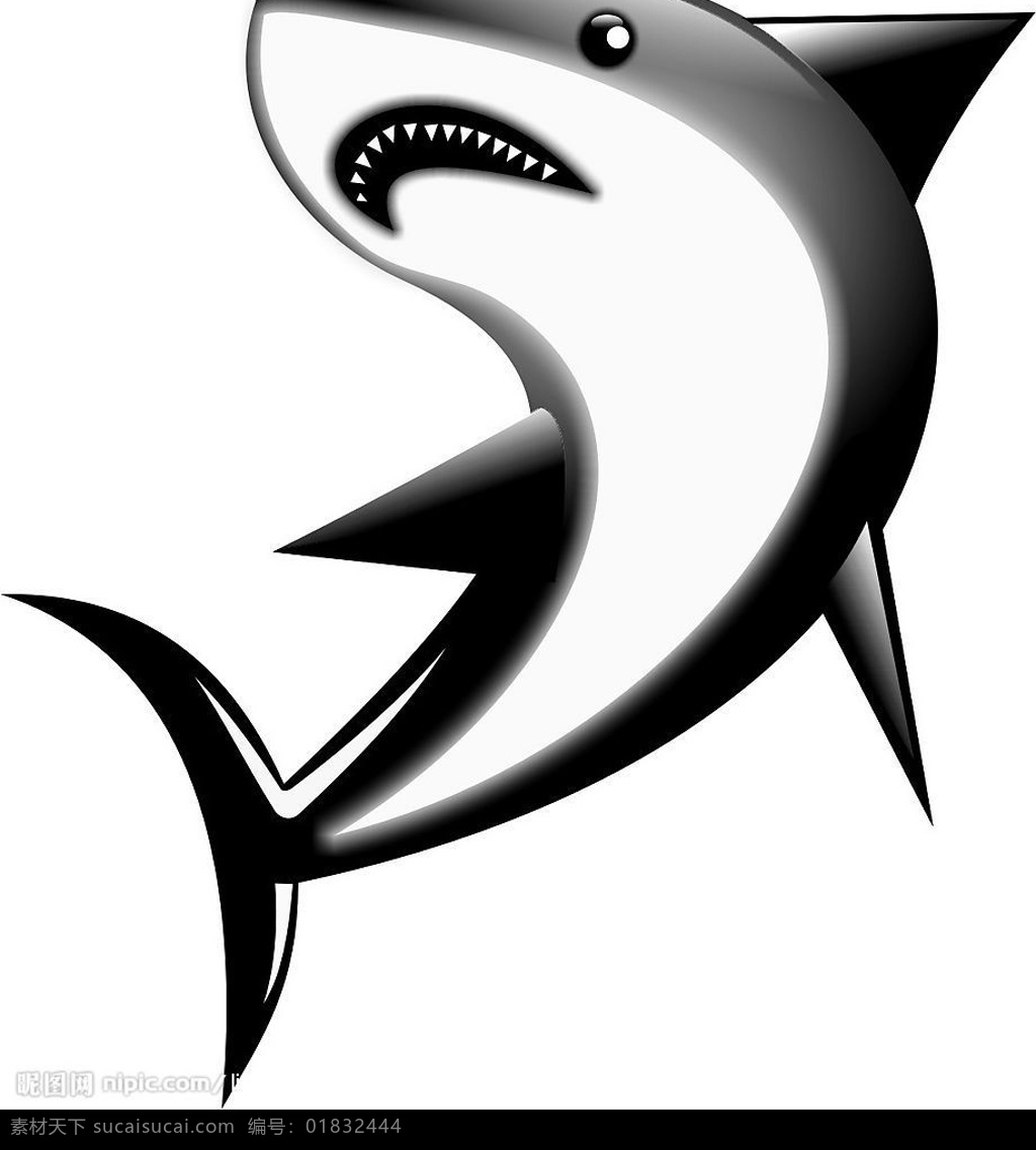 鲨鱼 鱼 生物世界 海洋生物 矢量图库
