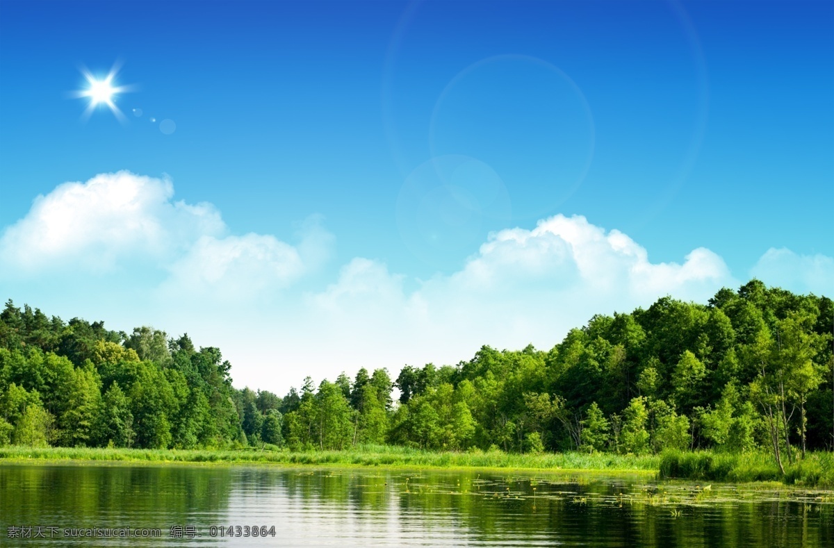 树林 湖泊 风景 阳光 草地 树木 蓝天 白云 自然景观 自然风光