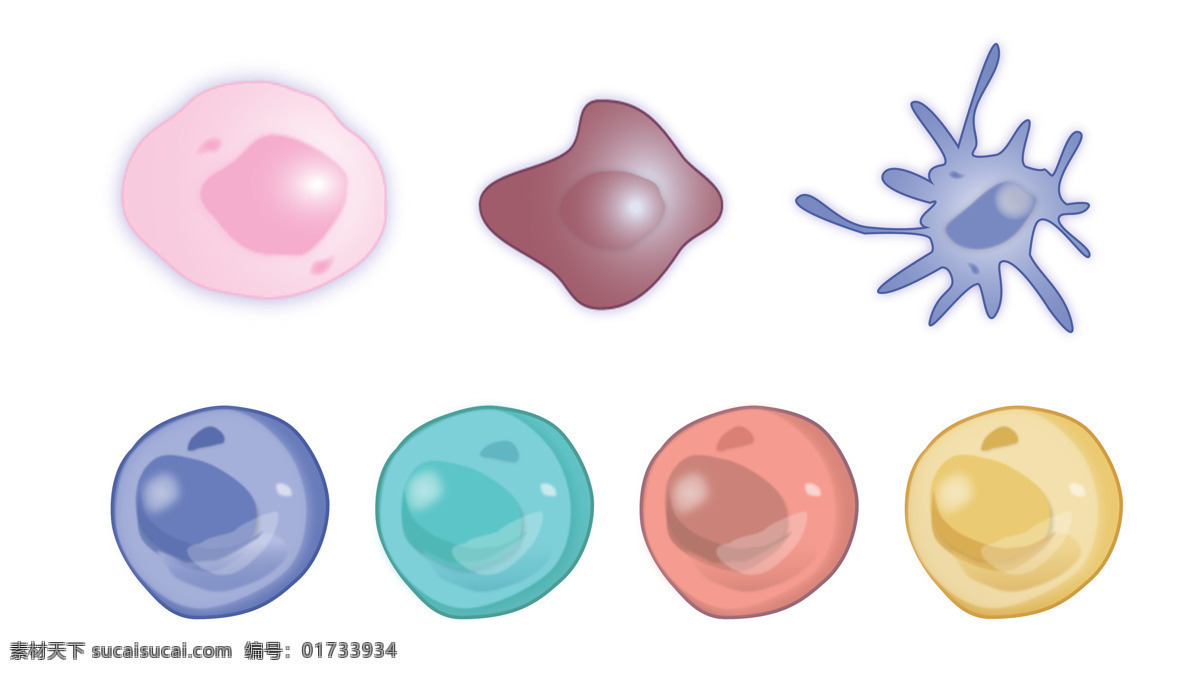 彩色细胞 树突状细胞 癌细胞 细胞 彩色