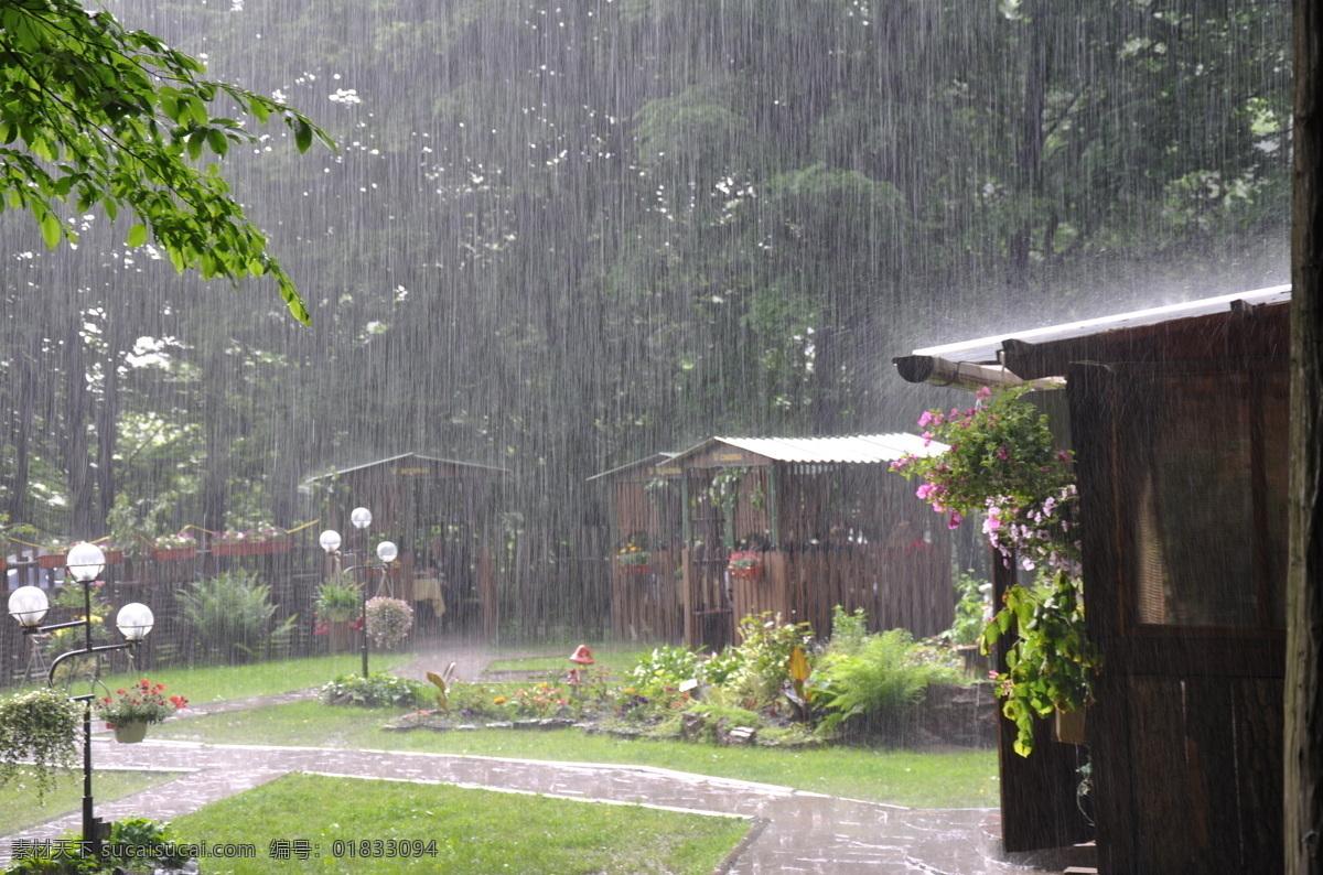 庭院 中 雨 花 雨水 雨滴 雨中 大雨 淋雨 下雨 雨天 天气 其他风光 风景图片