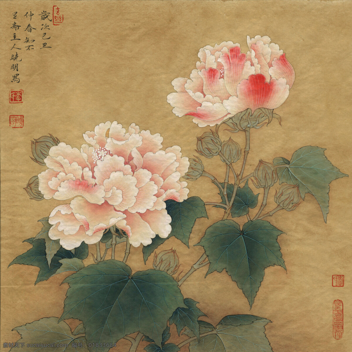 芙蓉图 芙蓉 牡丹 工笔画 名人画 绘画精品 文化艺术 绘画书法