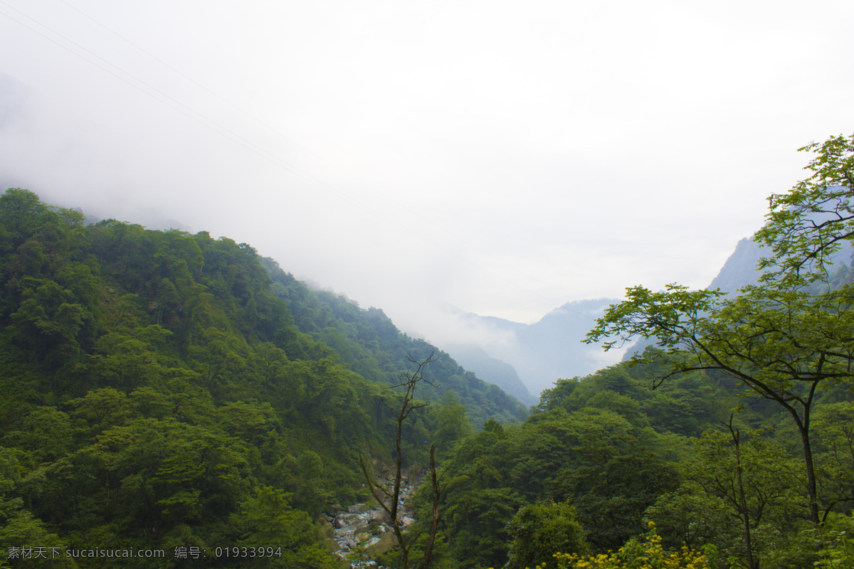山谷中的河道 山谷 群山 雾 小道 荒弃 干涸 河道 自然景观 山水风景 白色
