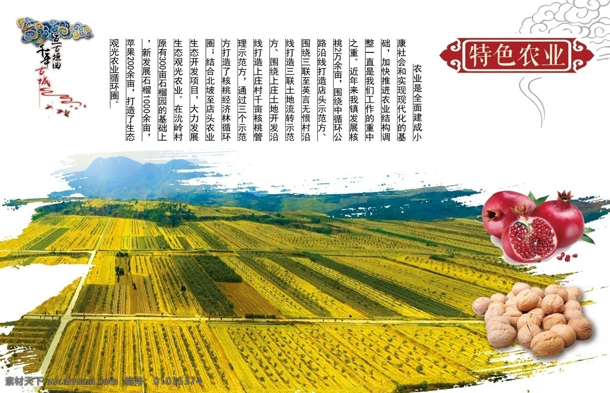 乡镇 文化 党建 石榴 核桃 核桃林 特色农业 文化艺术 传统文化
