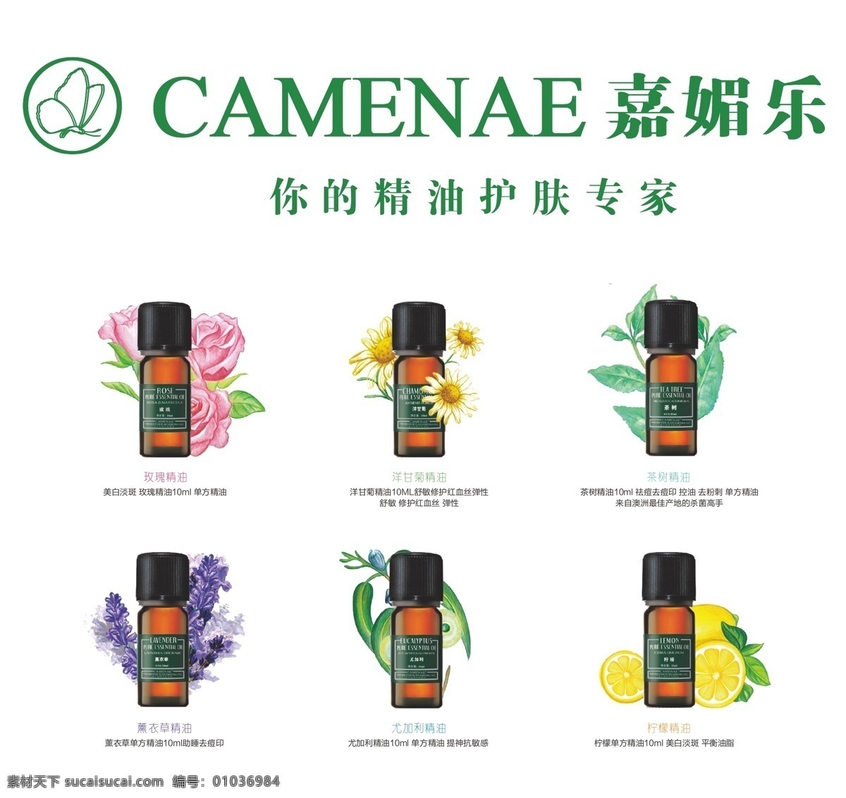 嘉 媚 乐 精油 logo 安哲南明 化妆品 嘉媚乐 精油护肤 玫瑰花 菊花 薰衣草 标志 矢量 vi