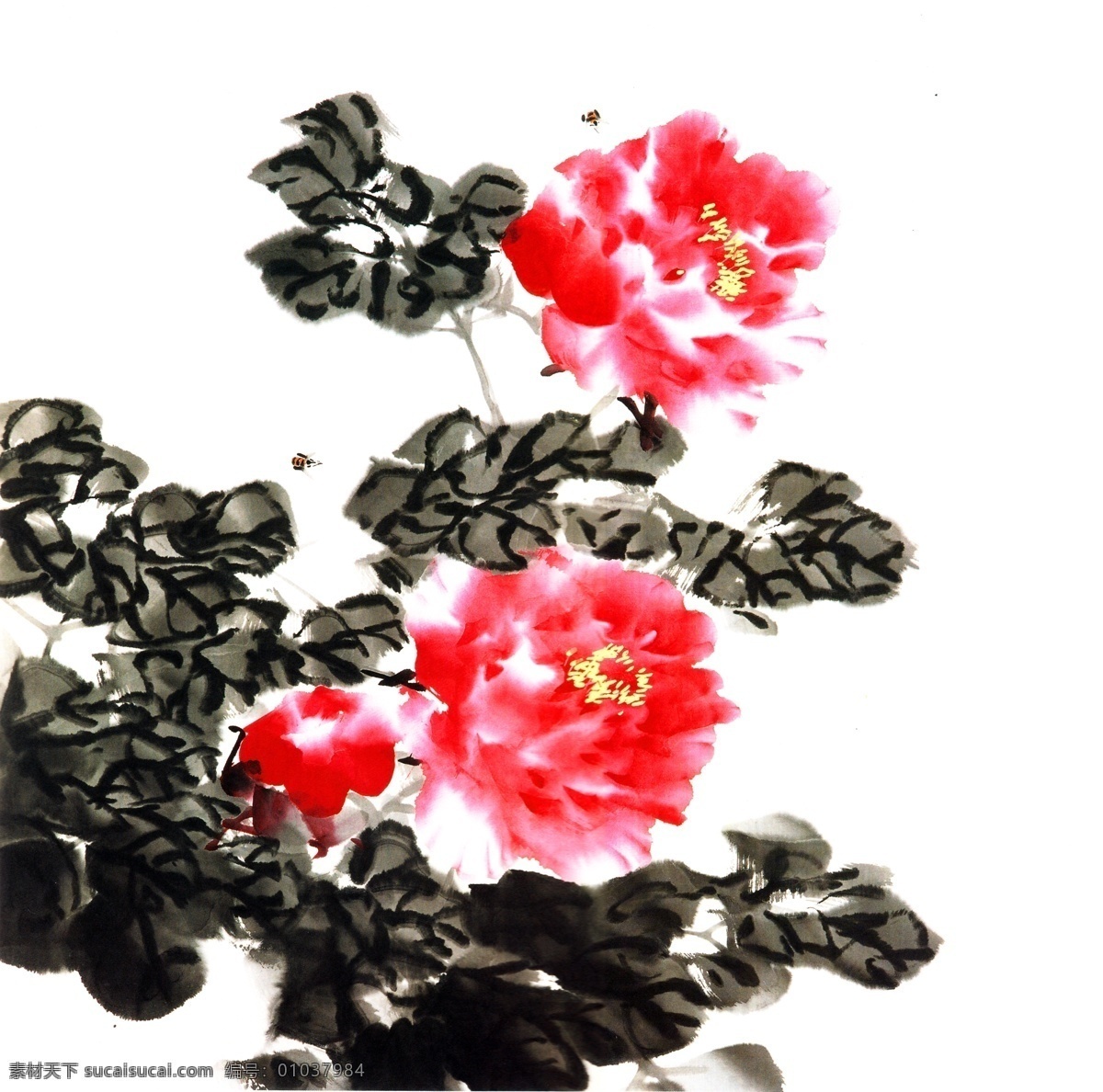 牡丹花 牡丹 天香富贵 牡丹国画 国画牡丹 水彩牡丹 红牡丹 牡丹水彩画 盛开牡丹 玉堂富贵 水墨牡丹 春风富贵 水彩画 装饰画 墙壁挂画 室内挂画 无框画 国画集 绘画书法 文化艺术