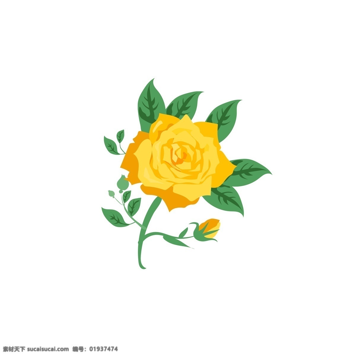 植物 花朵 黄色 鲜花 树枝 花香 美丽 花卉 漂亮 春天 叶子 迷人