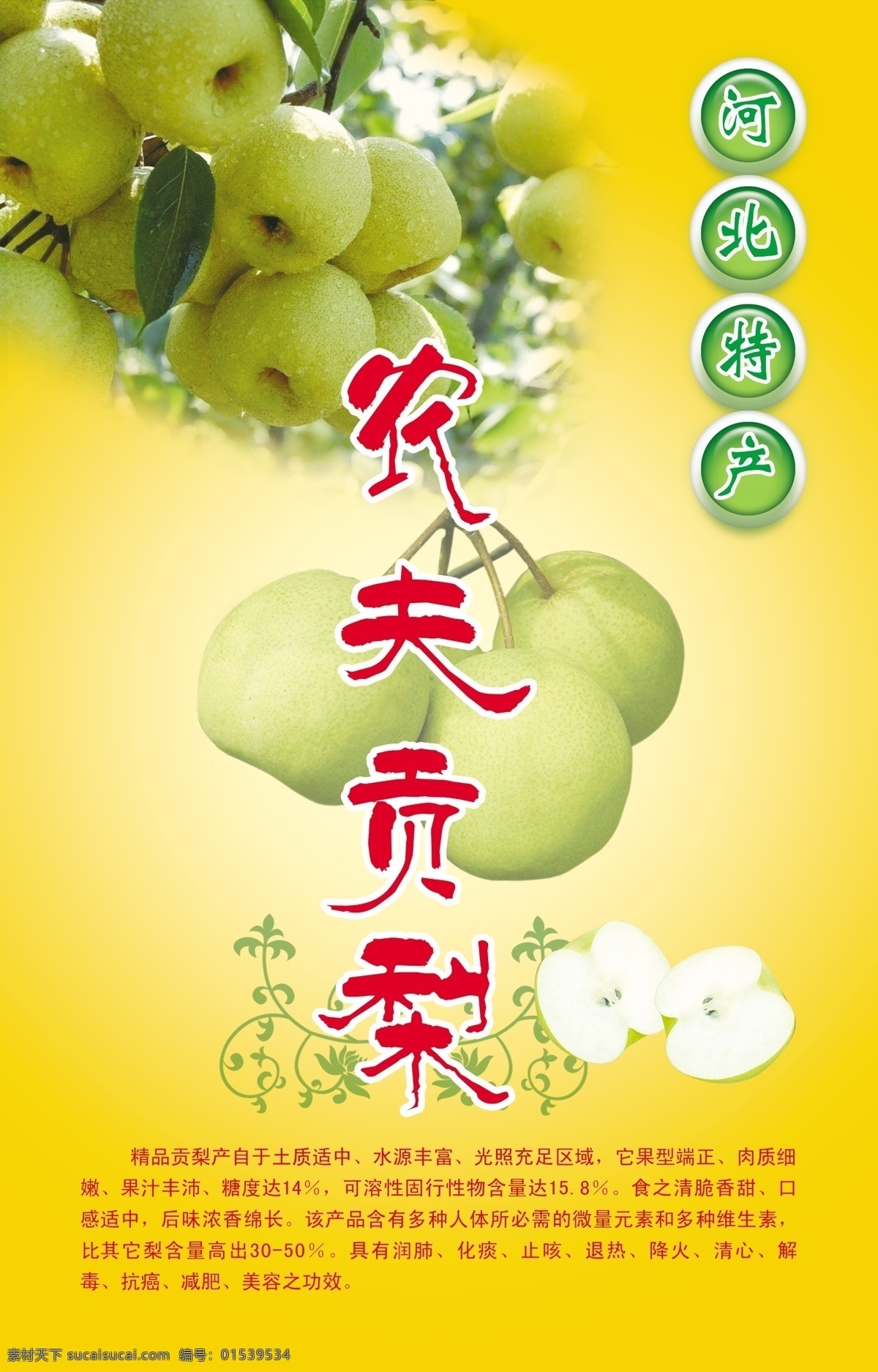梨果海报 梨 贡梨 果品 简介 海报