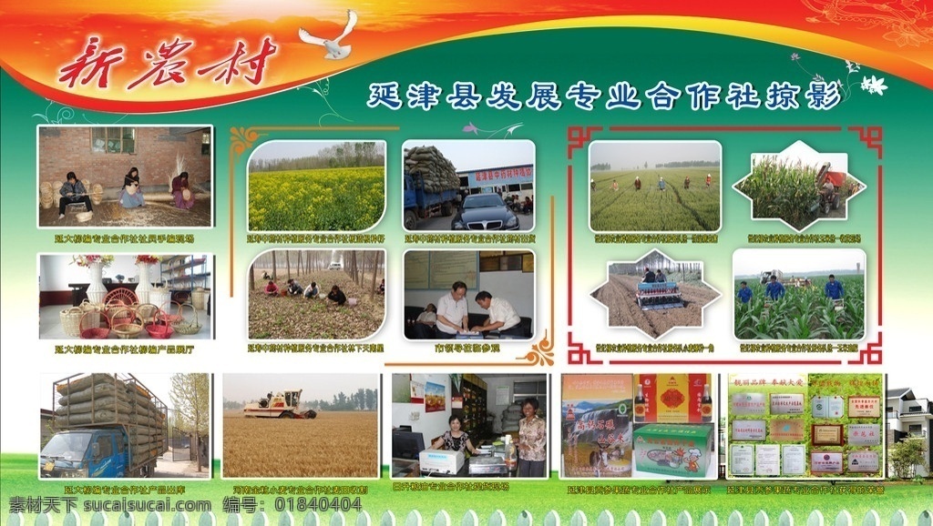 新 农村 发展 专业 合作社 掠影 展板 新农村 合作社掠影 红头 绿色背景 鸽子 草地 展板模板 广告设计模板 源文件