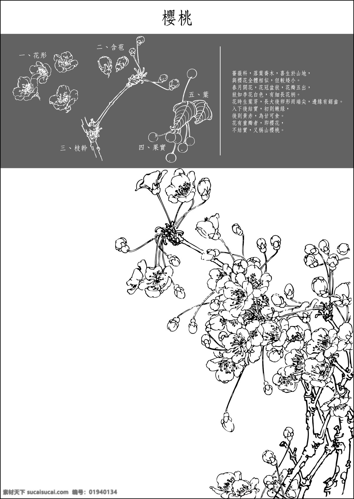 图 中国 传统 工笔画 笔法 细腻 注重细节3 艺术的载体 载体的写意画 关闭 细节 平 细 白色