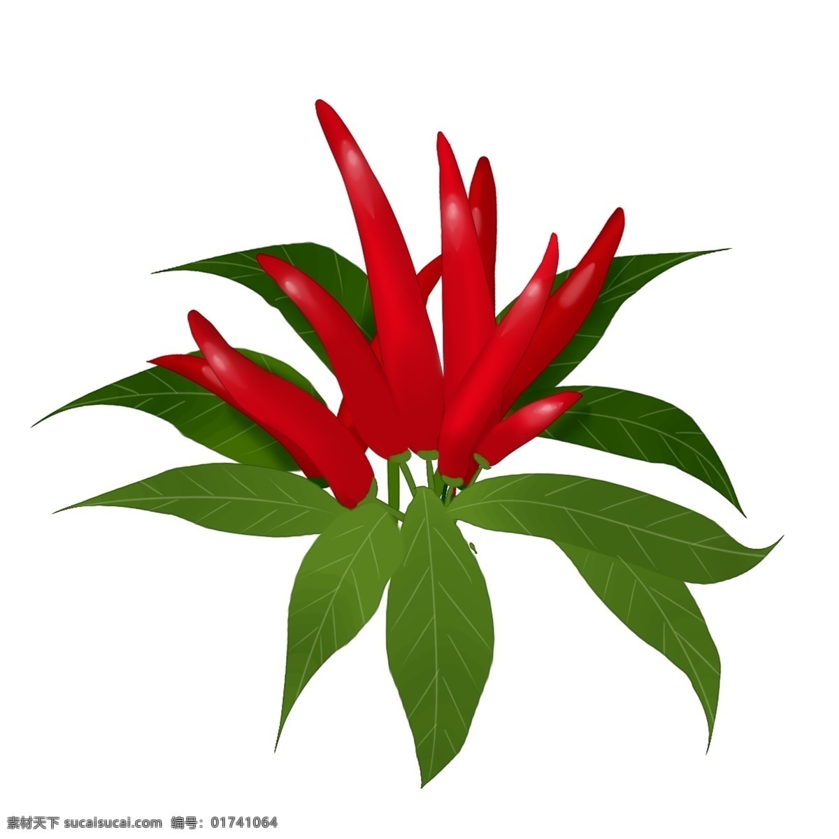 植物 小米辣 绿叶 装饰 绿色无添加 健康 创意 新鲜 红色 美味 美食 自然 蔬果 辣椒 食材