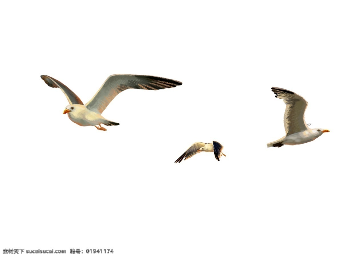 飞翔中的海鸥 海鸥 三 只 飞翔 鸟 分层 源文件
