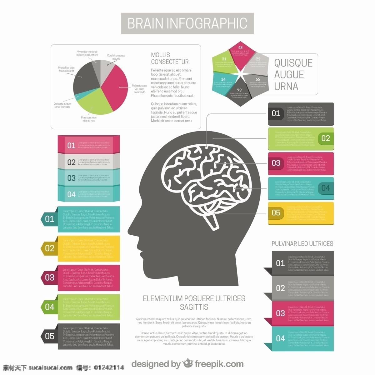 脑 图 模板 不同 选择 图表 脑图 营销 五颜六色的 平坦的 创造性 过程 中 信息图表模板 数据 信息 平面设计 图形创意 信息图形